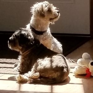 Meet your Posher, Lainey